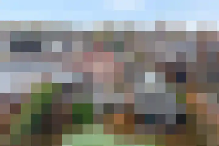 Van Haeringenstraat 37 Dedemsvaart thumbnail 62
