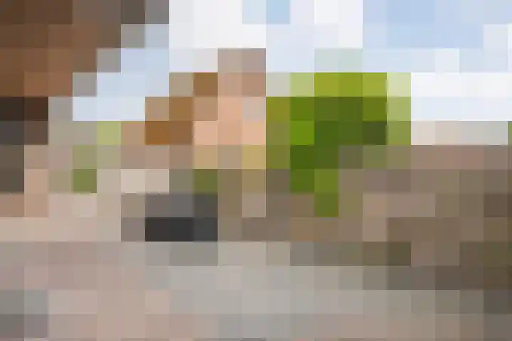 Van Haeringenstraat 42 Dedemsvaart thumbnail 29