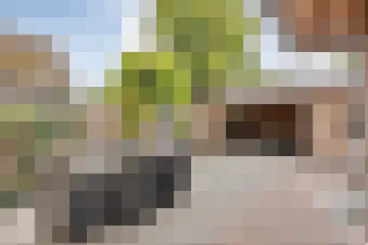 Van Haeringenstraat 42 Dedemsvaart thumbnail 30