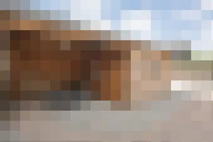 Van Haeringenstraat 42 Dedemsvaart thumbnail 31