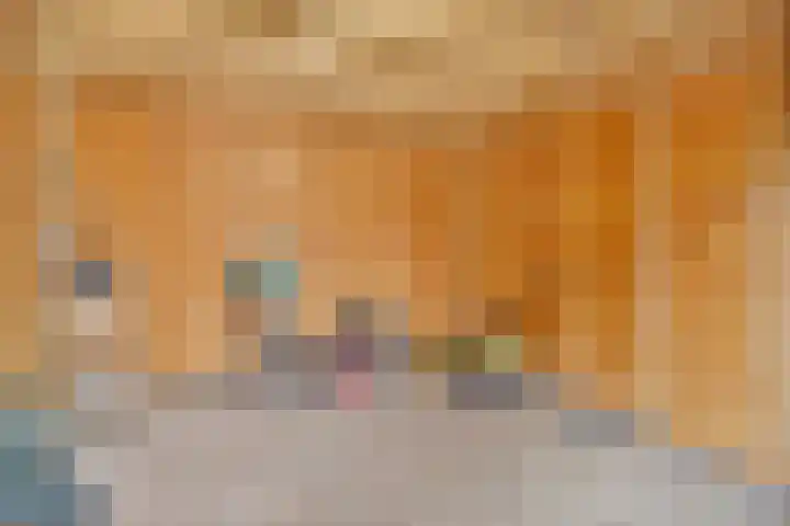 Van Haeringenstraat 42 Dedemsvaart thumbnail 32