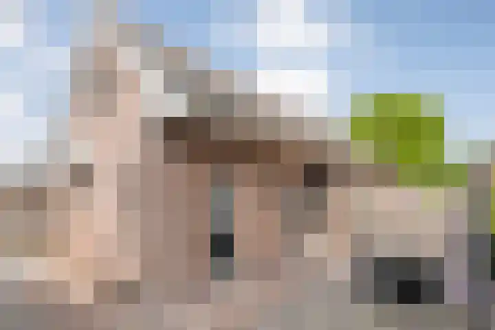 Van Haeringenstraat 42 Dedemsvaart thumbnail 33