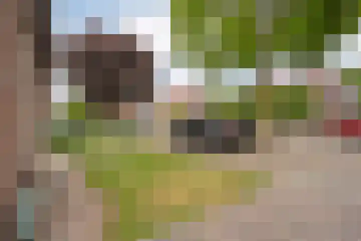 Van Haeringenstraat 42 Dedemsvaart thumbnail 4