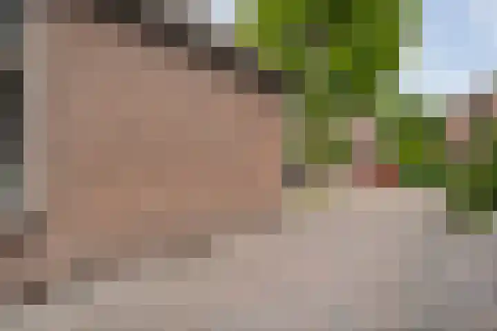 Van Haeringenstraat 42 Dedemsvaart thumbnail 6