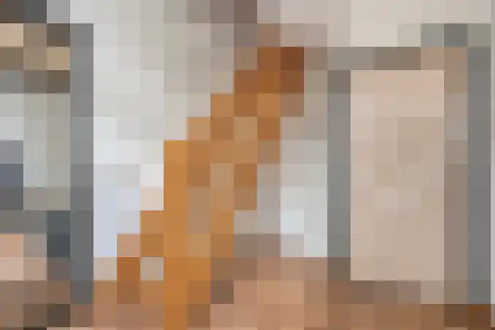 Van Haeringenstraat 42 Dedemsvaart thumbnail 7