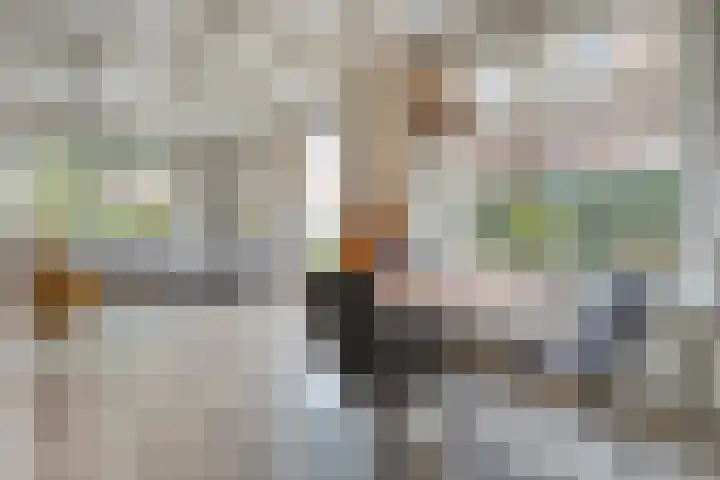 Van Haeringenstraat 53 Dedemsvaart thumbnail 12