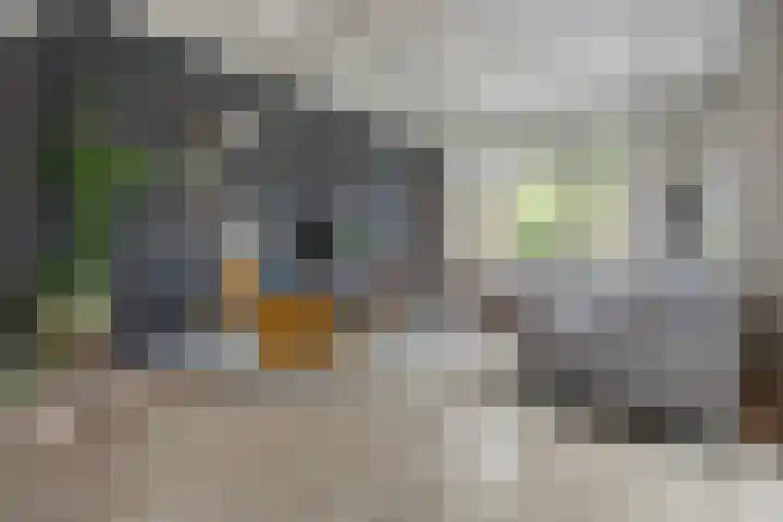 Van Haeringenstraat 53 Dedemsvaart thumbnail 14