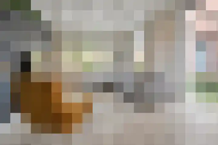 Van Haeringenstraat 53 Dedemsvaart thumbnail 17