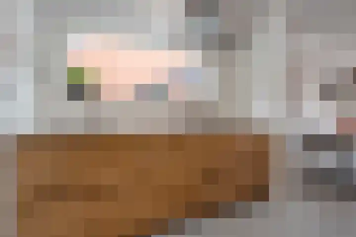 Van Haeringenstraat 53 Dedemsvaart thumbnail 19