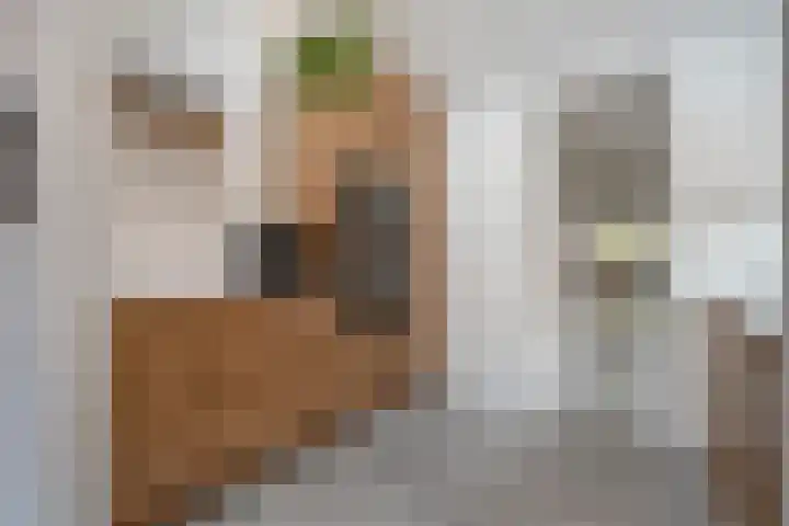 Van Haeringenstraat 53 Dedemsvaart thumbnail 20