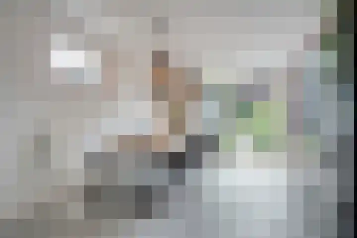 Van Haeringenstraat 53 Dedemsvaart thumbnail 23