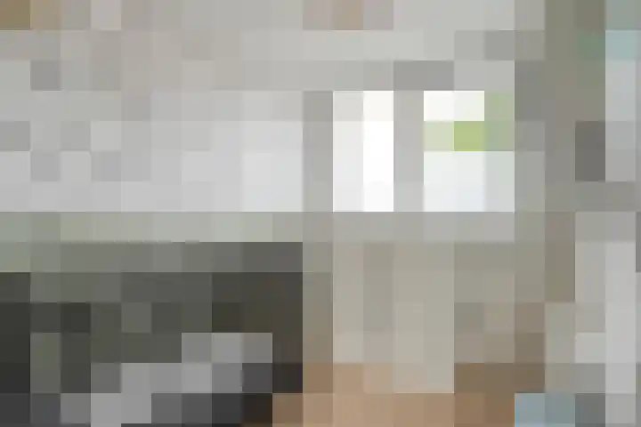 Van Haeringenstraat 53 Dedemsvaart thumbnail 27