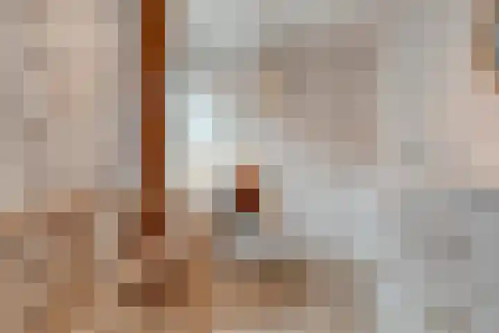 Van Haeringenstraat 53 Dedemsvaart thumbnail 30