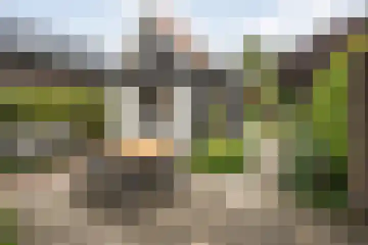 Van Haeringenstraat 53 Dedemsvaart thumbnail 36