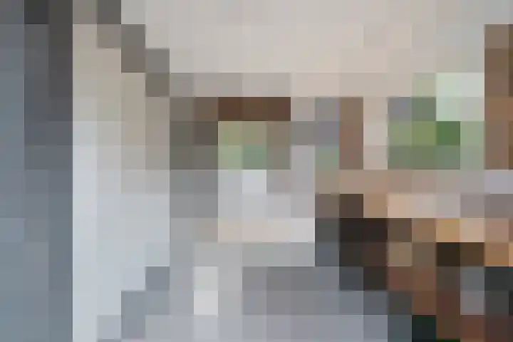 Van Haeringenstraat 53 Dedemsvaart thumbnail 38