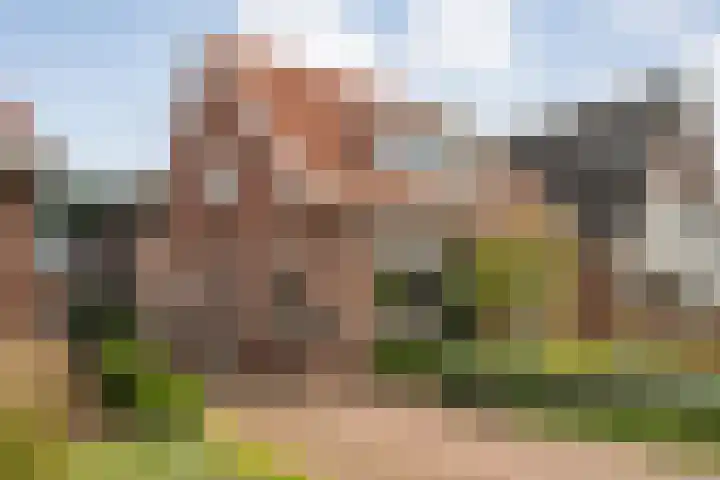 Van Haeringenstraat 53 Dedemsvaart thumbnail 4