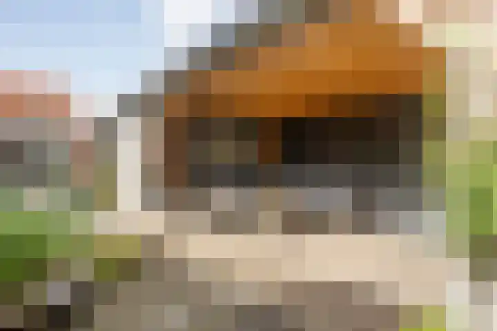 Van Haeringenstraat 53 Dedemsvaart thumbnail 42