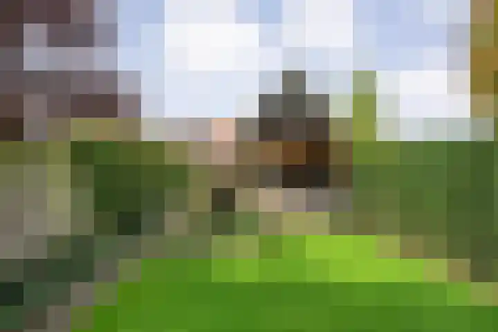 Van Haeringenstraat 53 Dedemsvaart thumbnail 43