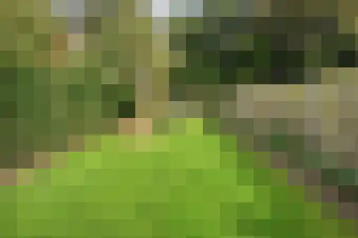 Van Haeringenstraat 53 Dedemsvaart thumbnail 44