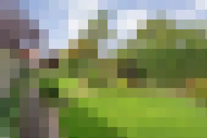 Van Haeringenstraat 53 Dedemsvaart thumbnail 45