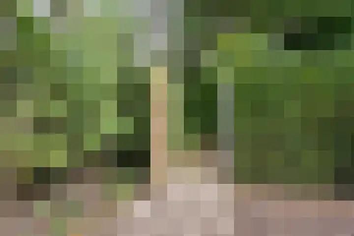 Van Haeringenstraat 53 Dedemsvaart thumbnail 47