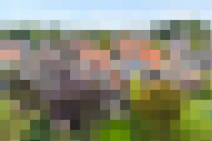 Van Haeringenstraat 53 Dedemsvaart thumbnail 50