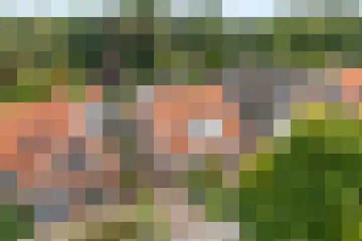 Van Haeringenstraat 53 Dedemsvaart thumbnail 52