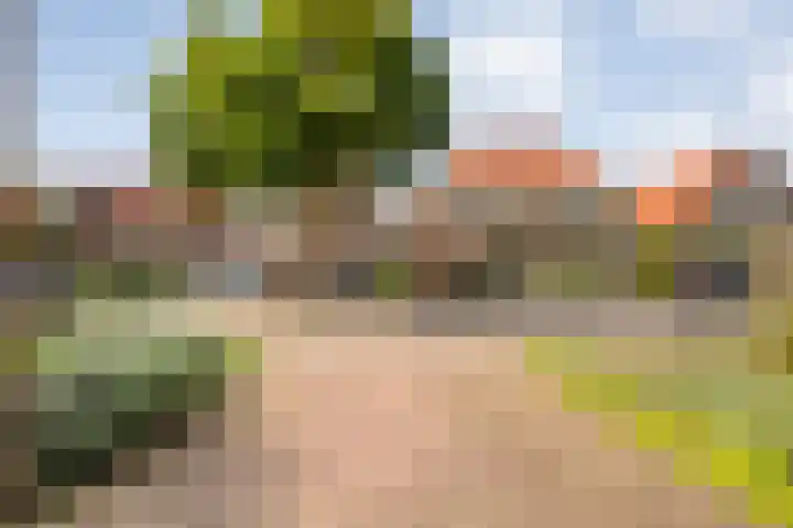 Van Haeringenstraat 53 Dedemsvaart thumbnail 55