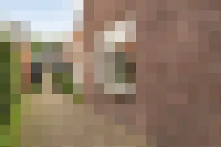 Van Haeringenstraat 53 Dedemsvaart thumbnail 56