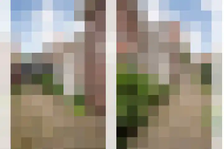Van Haeringenstraat 53 Dedemsvaart thumbnail 6