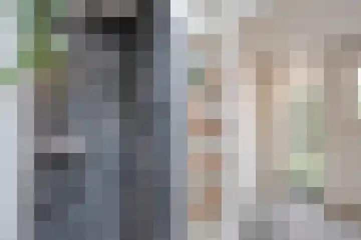 Van Haeringenstraat 53 Dedemsvaart thumbnail 9