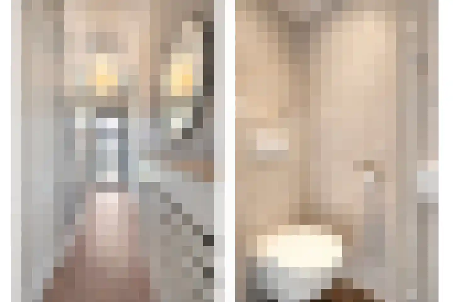 Van Haeringenstraat 56 Dedemsvaart thumbnail 11