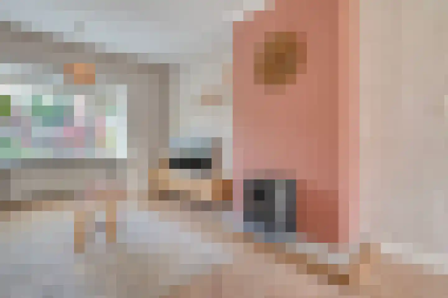 Van Haeringenstraat 56 Dedemsvaart thumbnail 13