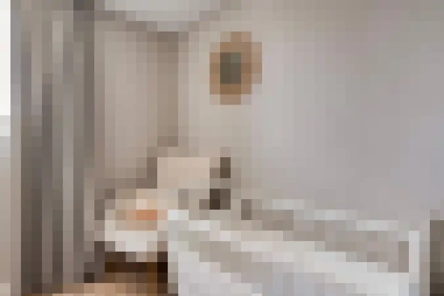 Van Haeringenstraat 56 Dedemsvaart thumbnail 30