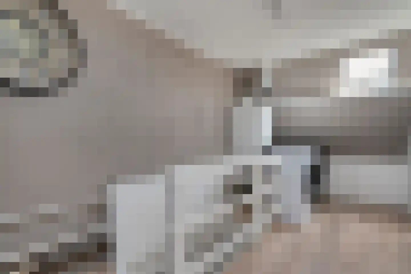 Van Haeringenstraat 56 Dedemsvaart thumbnail 33