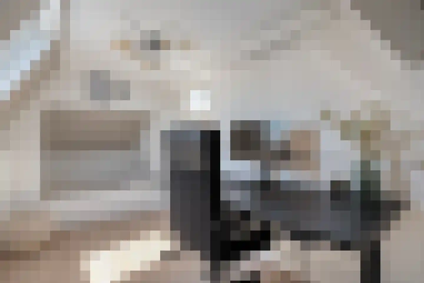 Van Haeringenstraat 56 Dedemsvaart thumbnail 35