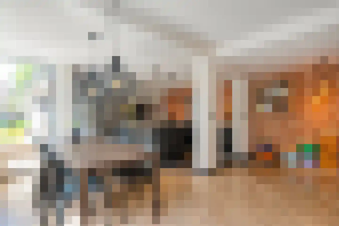 Van Haeringenstraat 72 Dedemsvaart thumbnail 10