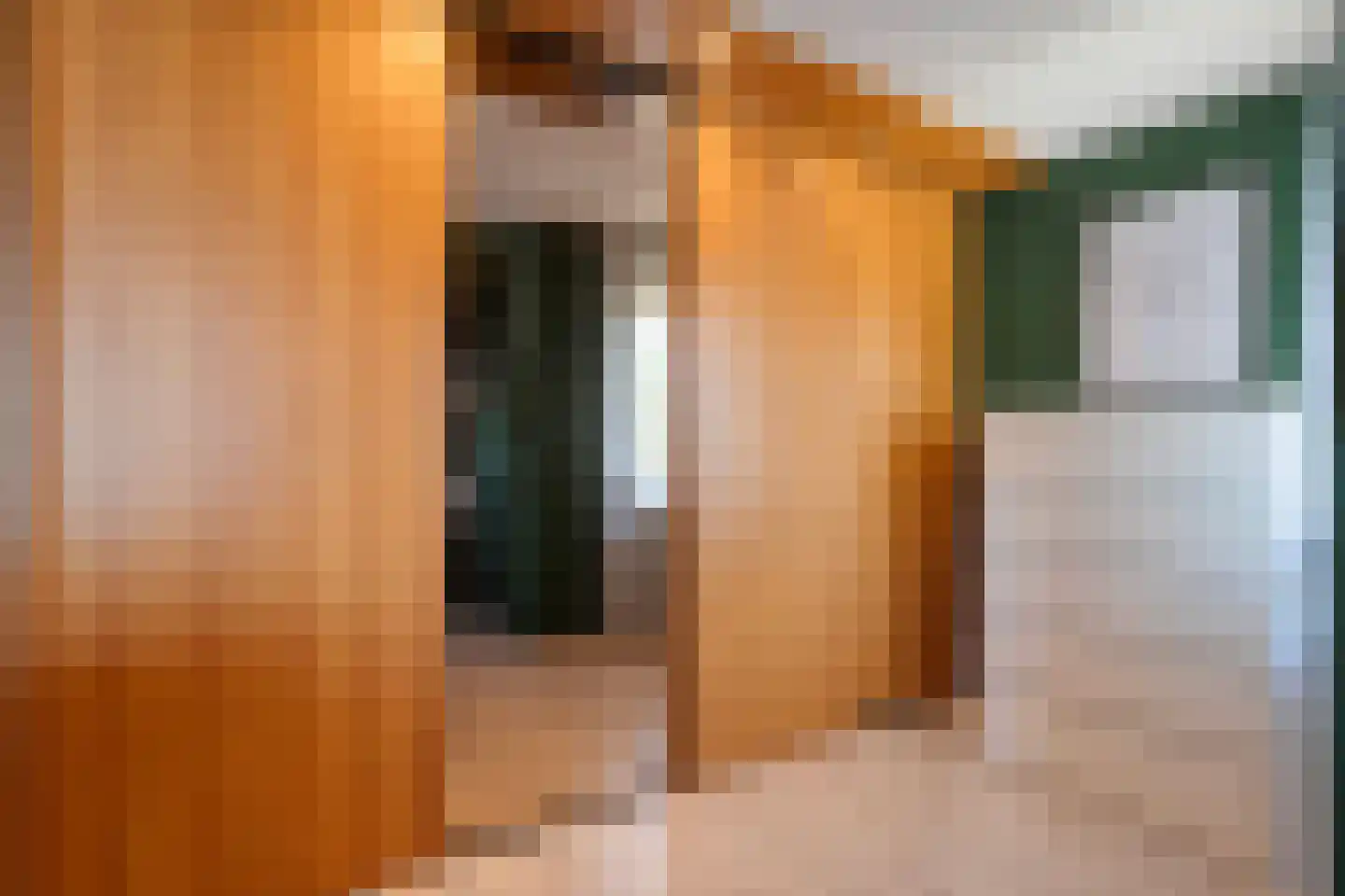 Van Haeringenstraat 72 Dedemsvaart thumbnail 27