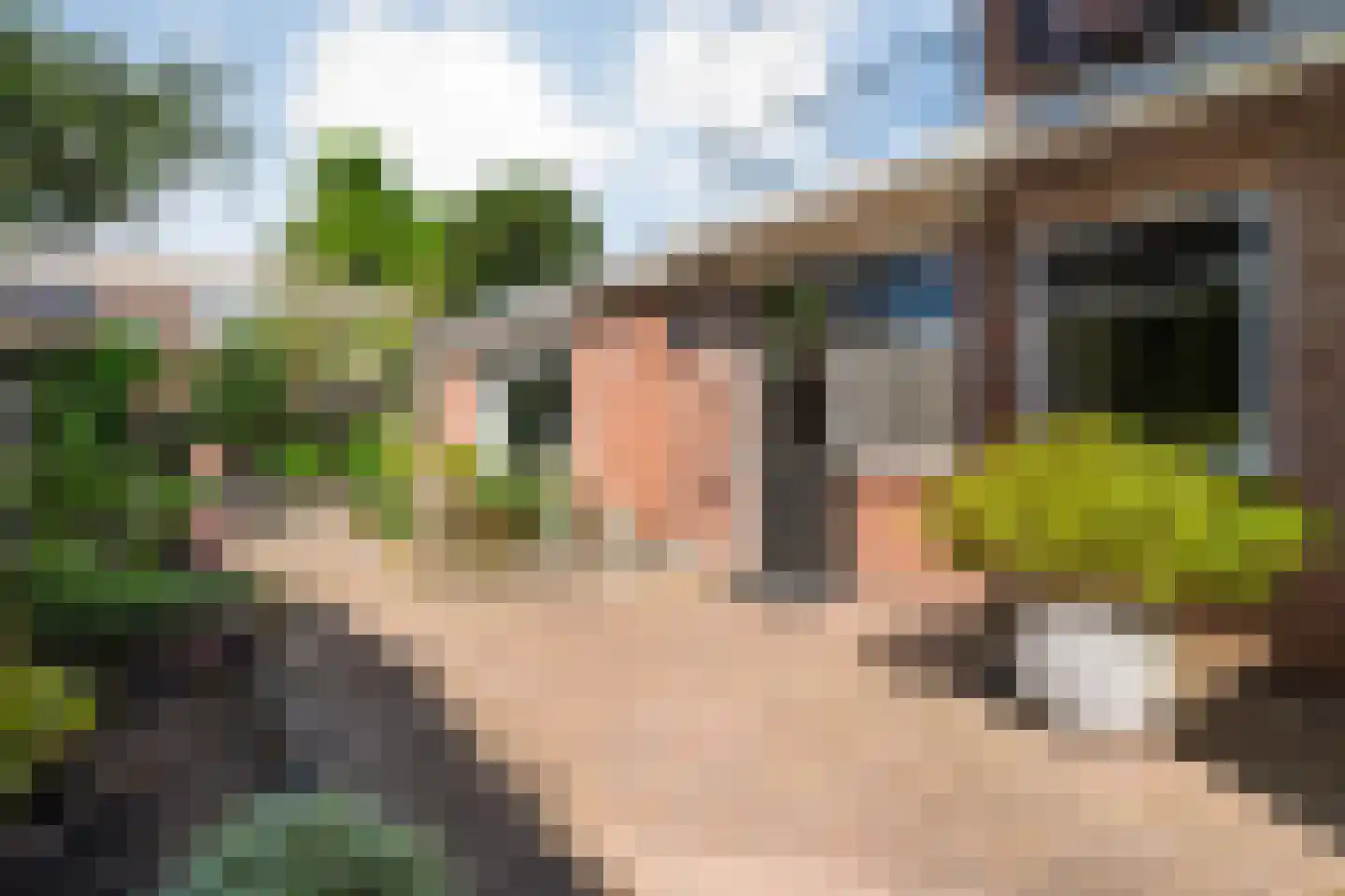 Van Haeringenstraat 72 Dedemsvaart thumbnail 39
