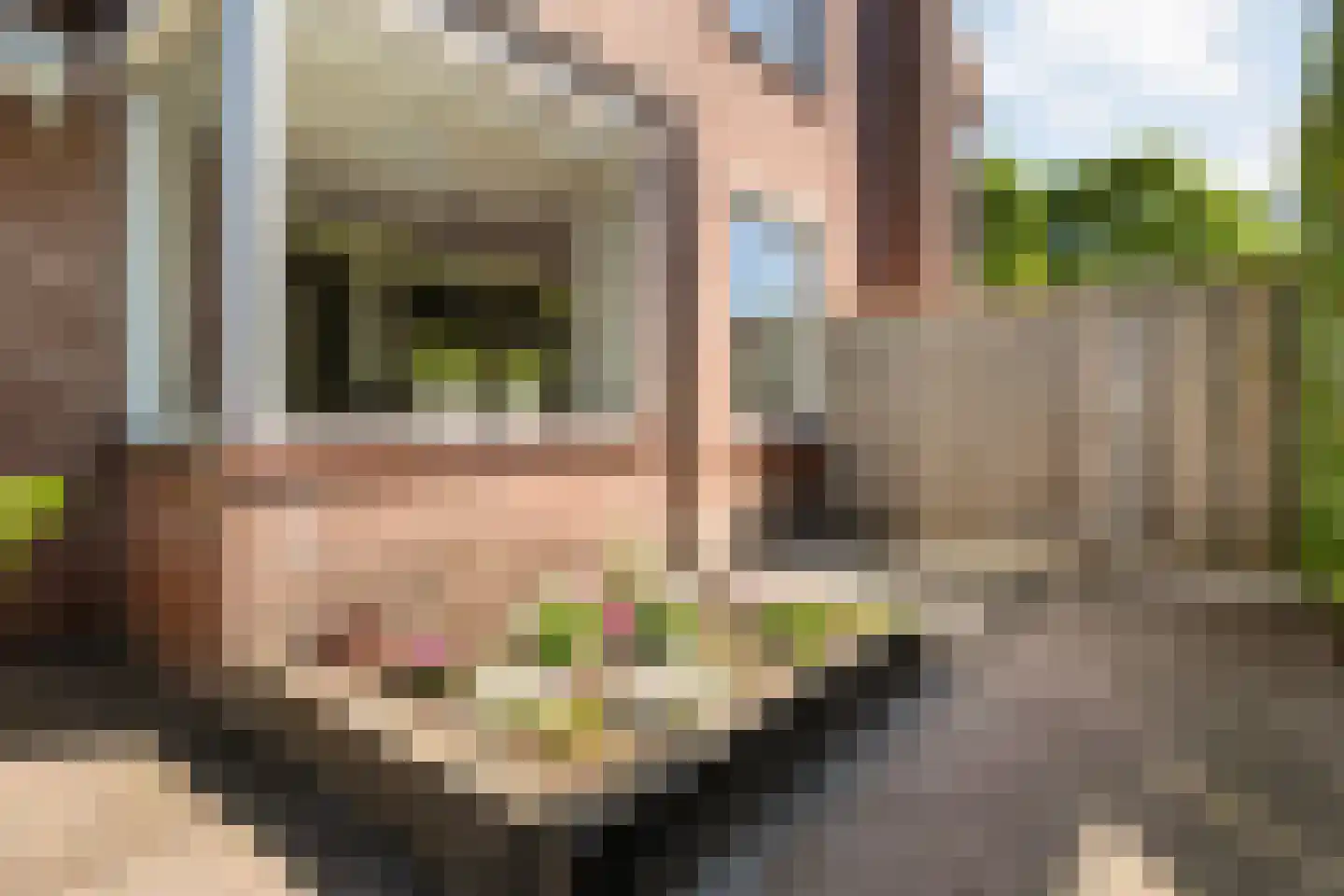 Van Haeringenstraat 72 Dedemsvaart thumbnail 41