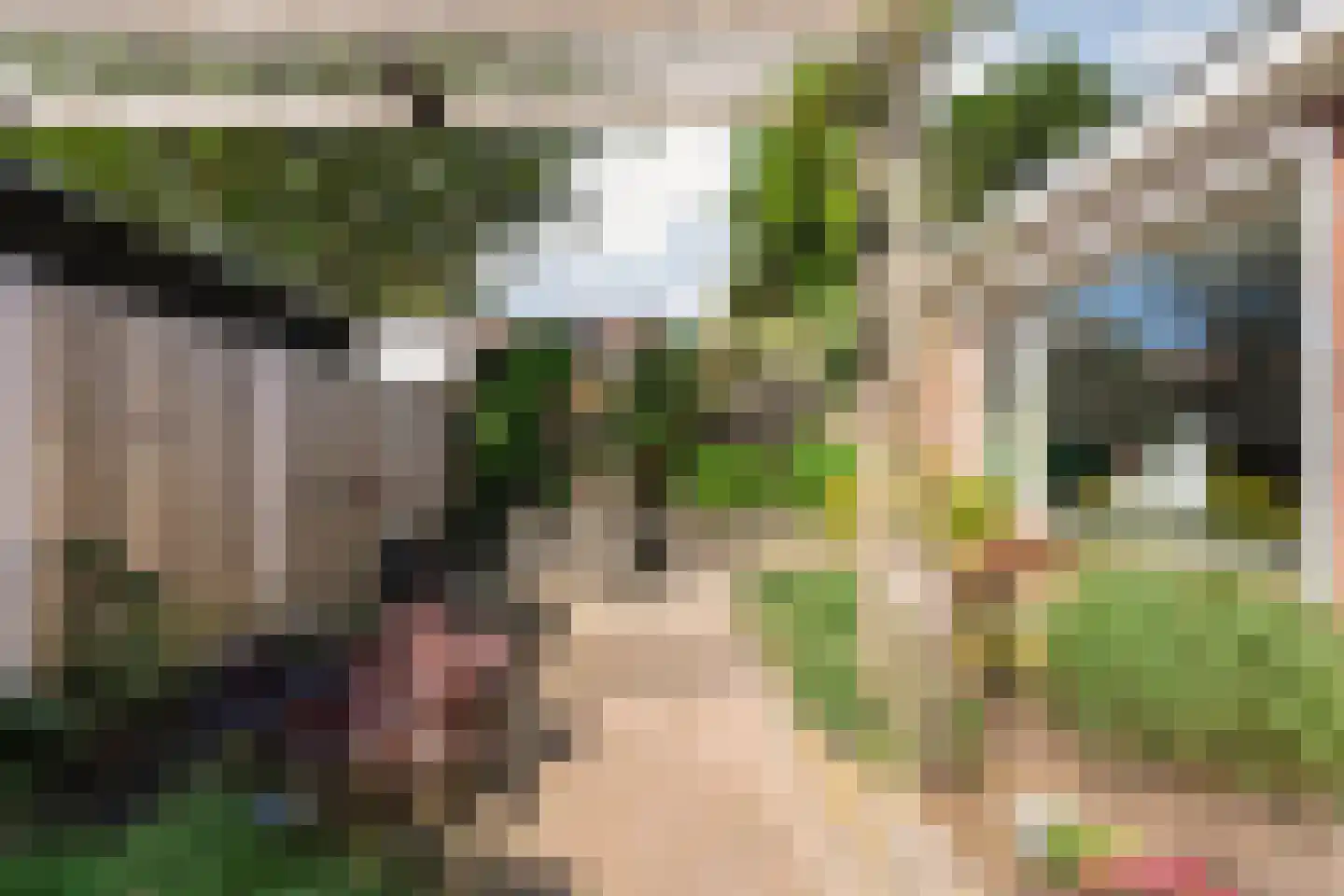 Van Haeringenstraat 72 Dedemsvaart thumbnail 44