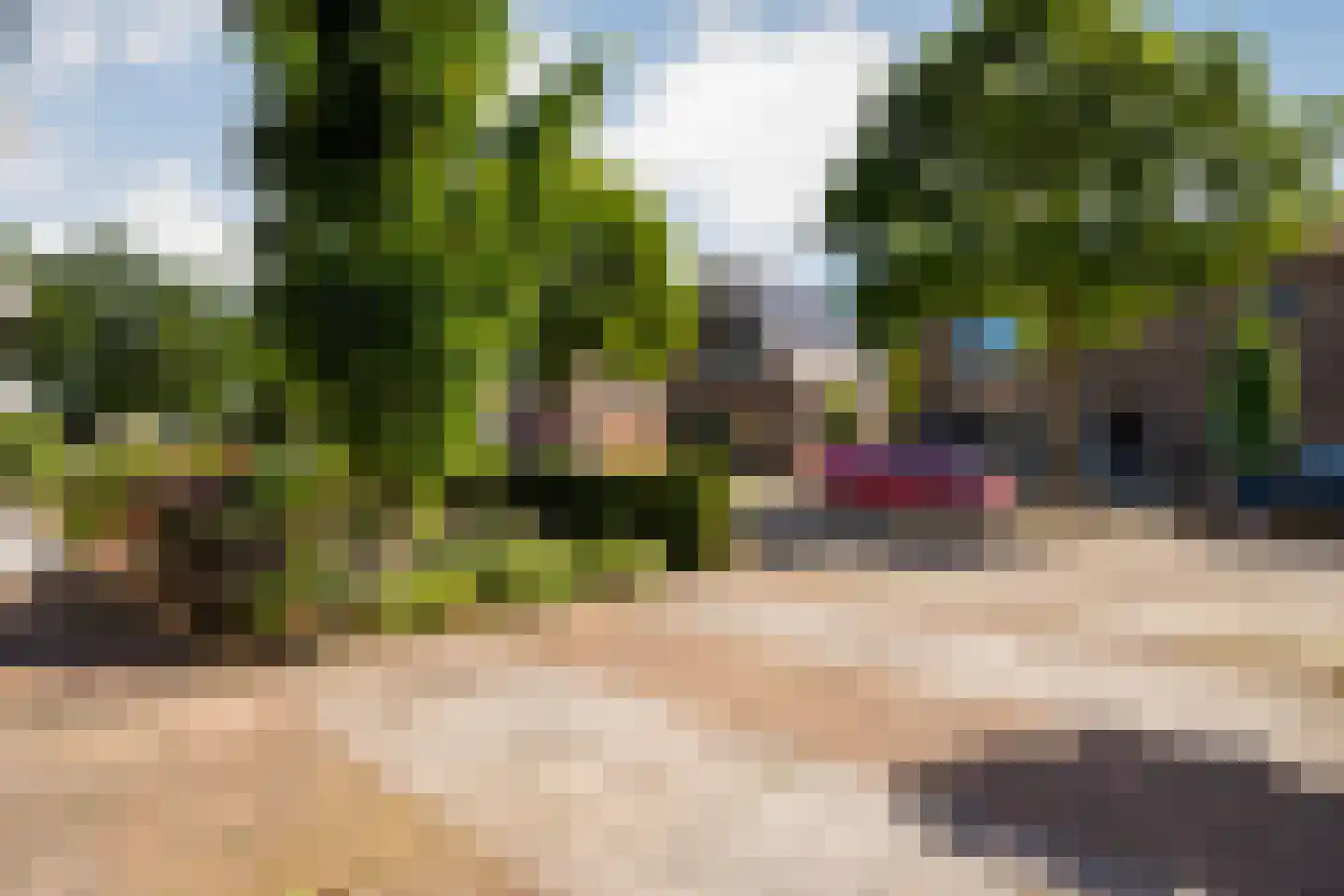 Van Haeringenstraat 72 Dedemsvaart thumbnail 49