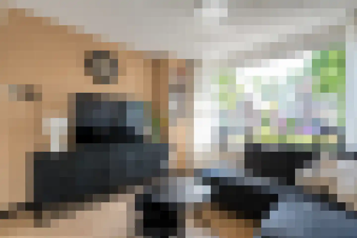 Van Haeringenstraat 72 Dedemsvaart thumbnail 6