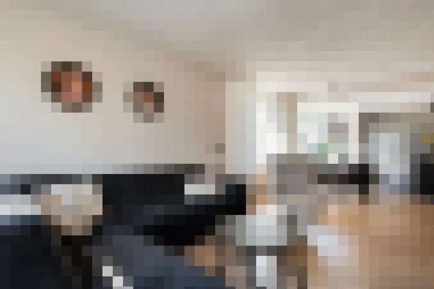 Van Haeringenstraat 72 Dedemsvaart thumbnail 7