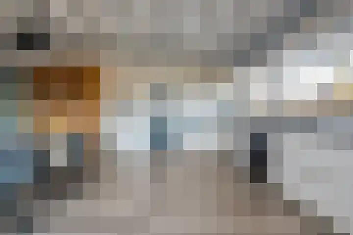 Van Haeringenstraat 89 Dedemsvaart thumbnail 11
