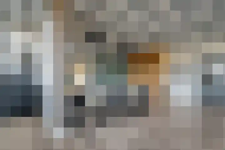 Van Haeringenstraat 89 Dedemsvaart thumbnail 12