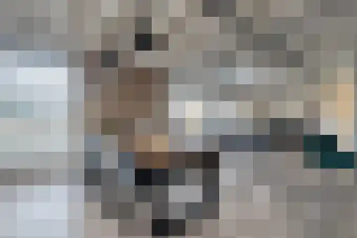 Van Haeringenstraat 89 Dedemsvaart thumbnail 15