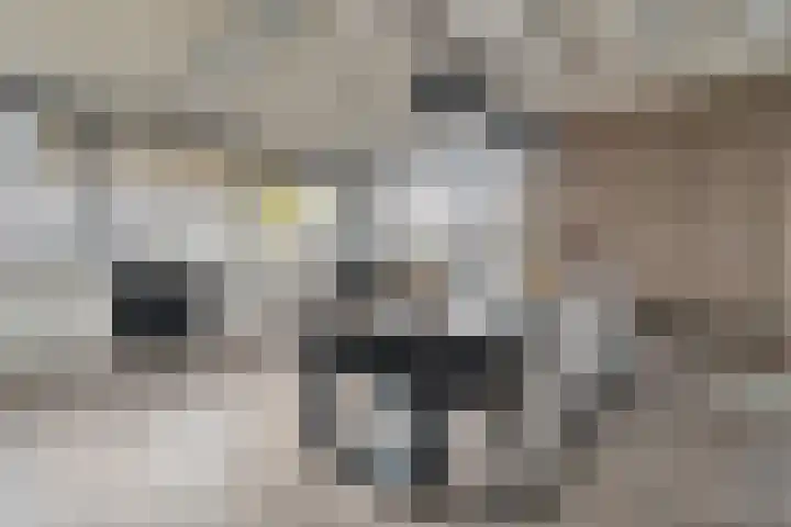 Van Haeringenstraat 89 Dedemsvaart thumbnail 16