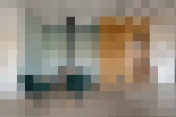 Van Haeringenstraat 89 Dedemsvaart thumbnail 18