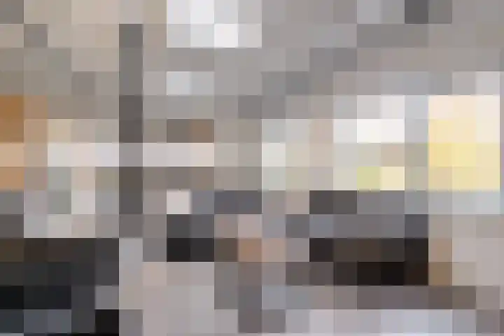 Van Haeringenstraat 89 Dedemsvaart thumbnail 19